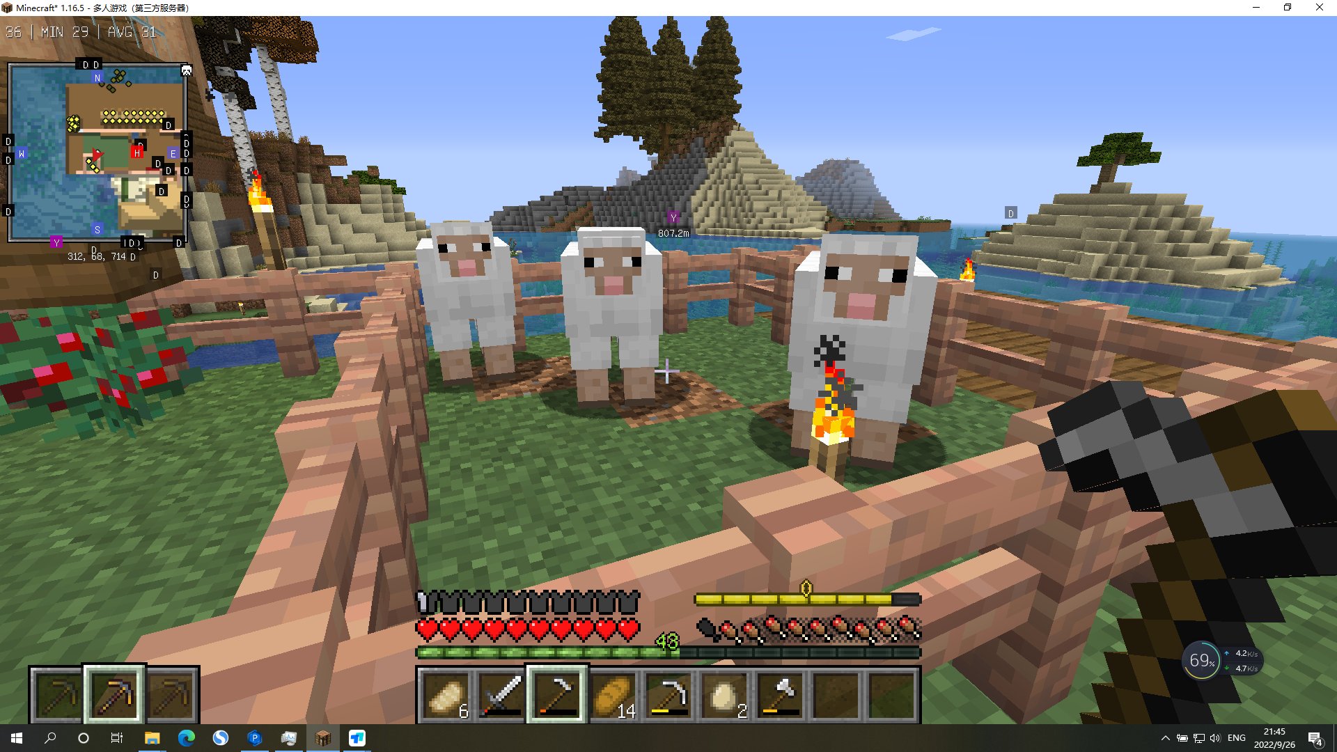 环世界 重制版 截图2